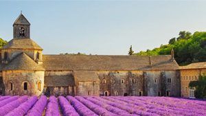 Oshadhi Blog: Seminario Aromaterapia y Ayurveda en la alta Provenza francesa