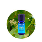 Aceite Esencial de Madera de Ho