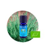 Aceite Esencial de Romero, Borneone (Alcanfor)