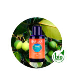 Aceite Vegetal de Calófilo