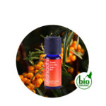 Aceite Vegetal de Espino Amarillo