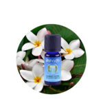 Aceite esencial de frangipani