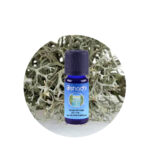 Aceite Esencial absoluto de Musgo de Roble 75%(en alcohol orgánico)