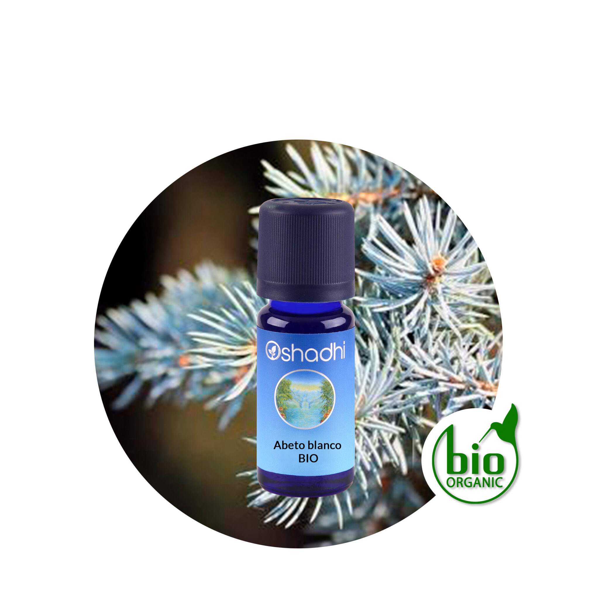 Aceite Esencial de Abeto Blanco