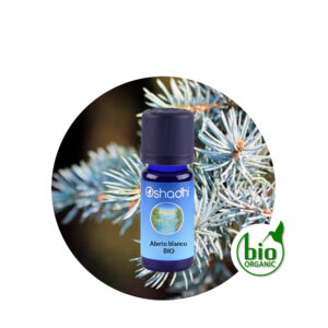 Aceite Esencial de Abeto Blanco