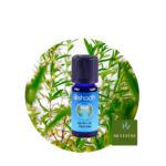 Aceite Esencial de Ajedrea de Montaña