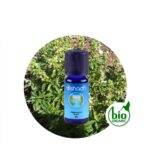 Aceite Esencial de Albahaca dulce, linalool