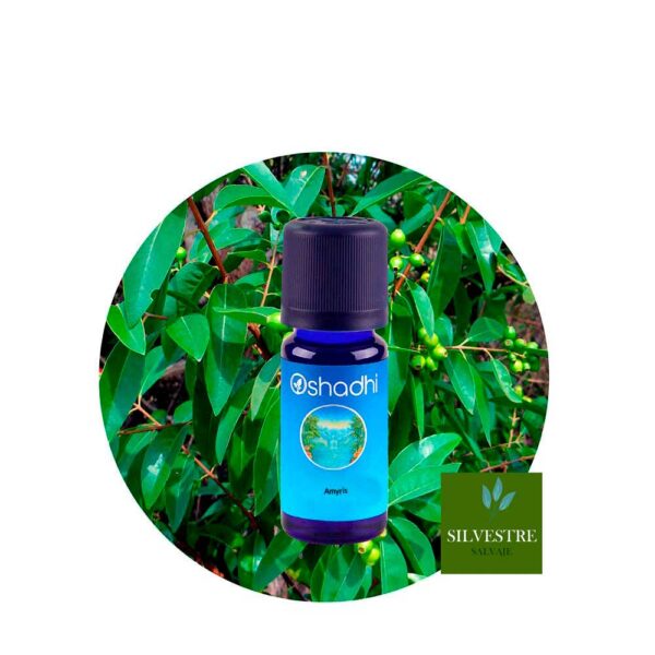 ae-amyris Aceite Esencial de Amyris - Imagen 1