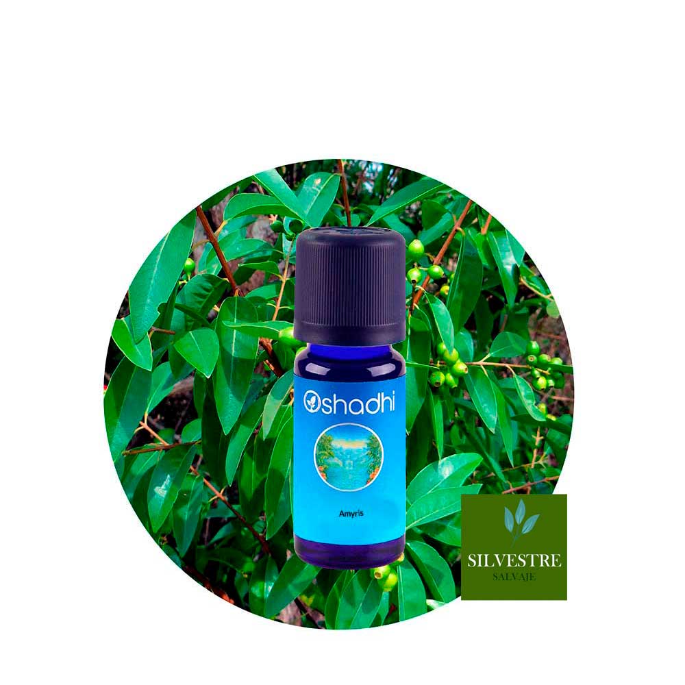 Aceite Esencial de Amyris