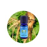 Aceite Esencial de Angelica (Raíz)