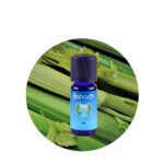 Aceite Esencial de Apio