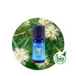 Aceite Esencial de Arbol del té