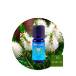 Aceite Esencial de Arbol del té (Rosalina)