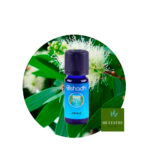 Aceite Esencial de Cajeput