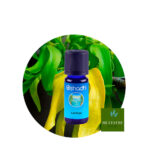 Aceite Esencial de Cananga