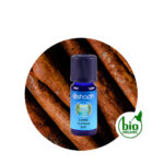 Aceite Esencial de Canela (Corteza)