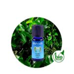 Aceite Esencial de Canela (Hojas)