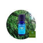 Aceite Esencial de Cedro de Atlas