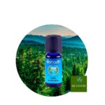 Aceite Esencial de Cedro de Himalaya