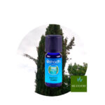 Aceite Esencial de Ciprés de España