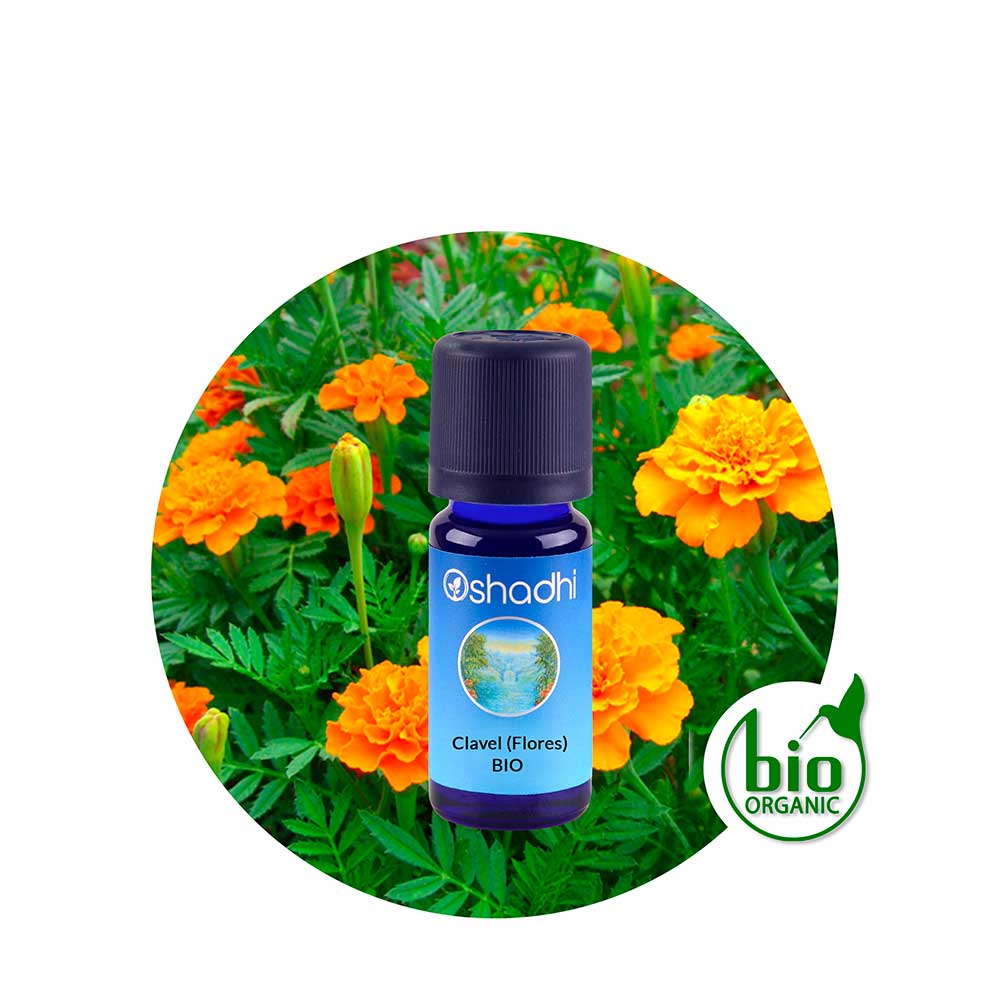 Aceite Esencial de Clavel (Flores)