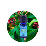 Aceite Esencial de Clavo (Hoja)