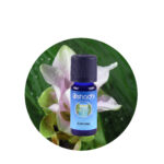 Aceite esencial de Cúrcuma