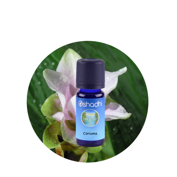 Aceite esencial de Cúrcuma Aceite esencial de Cúrcuma