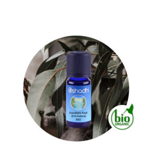 Aceite esencial eucalipto azul