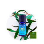 Aceite esencial de eucalipto dives