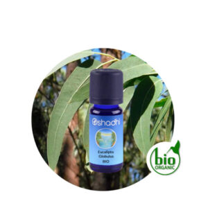 Aceite esencial eucalipto globulus