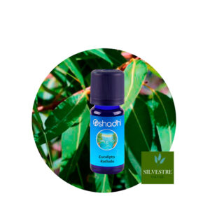 Aceite esencial de eucalipto radiado