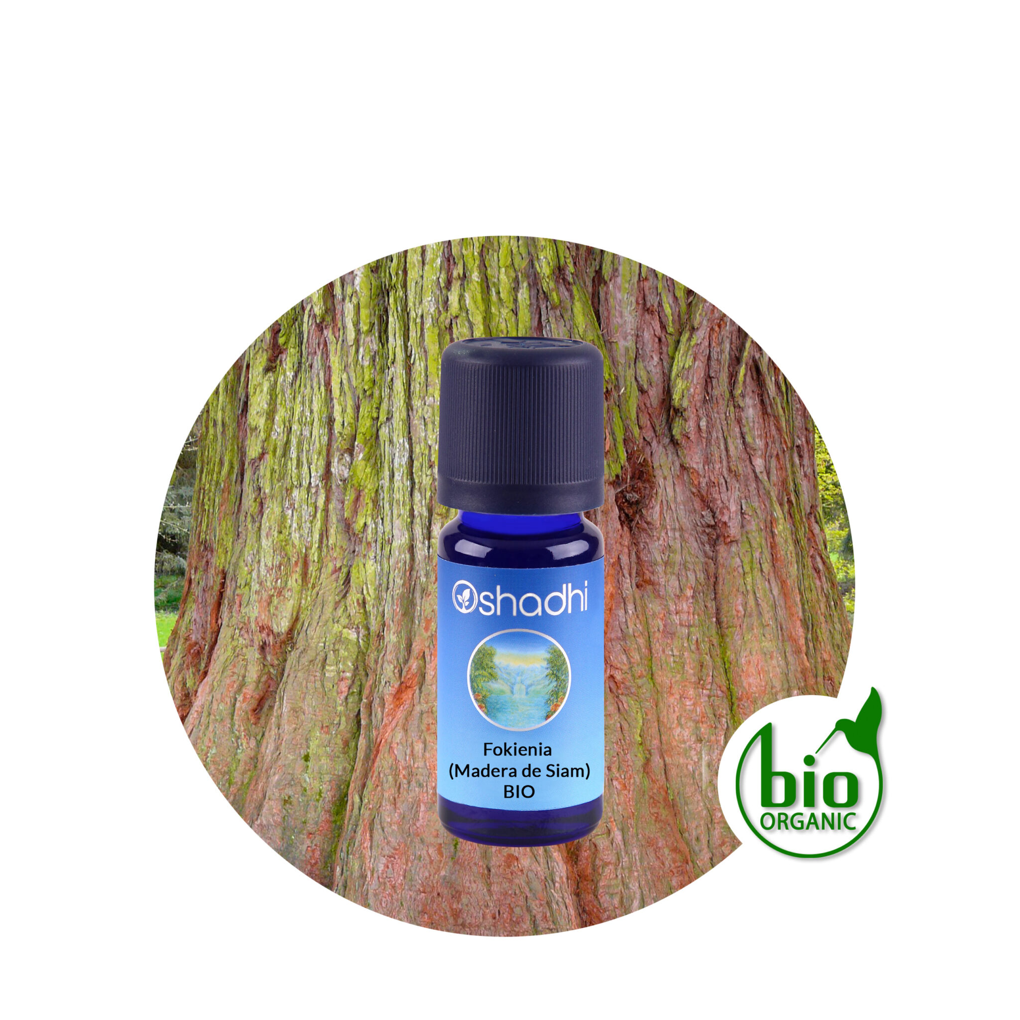 Aceite esencial fokienia madera de siam