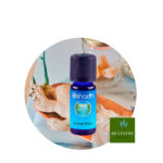 Aceite esencial de Galanga (Raíz)