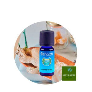 Aceite esencial de Galanga (Raíz)