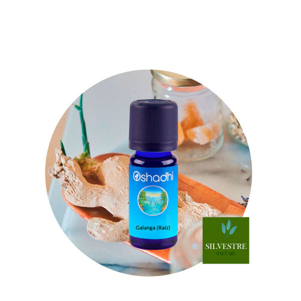 Galangal (Root) Essential Oil
