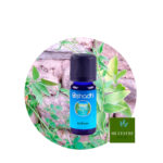 Aceite Esencial de Gálbano