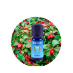 Aceite Esencial de Gaulteria