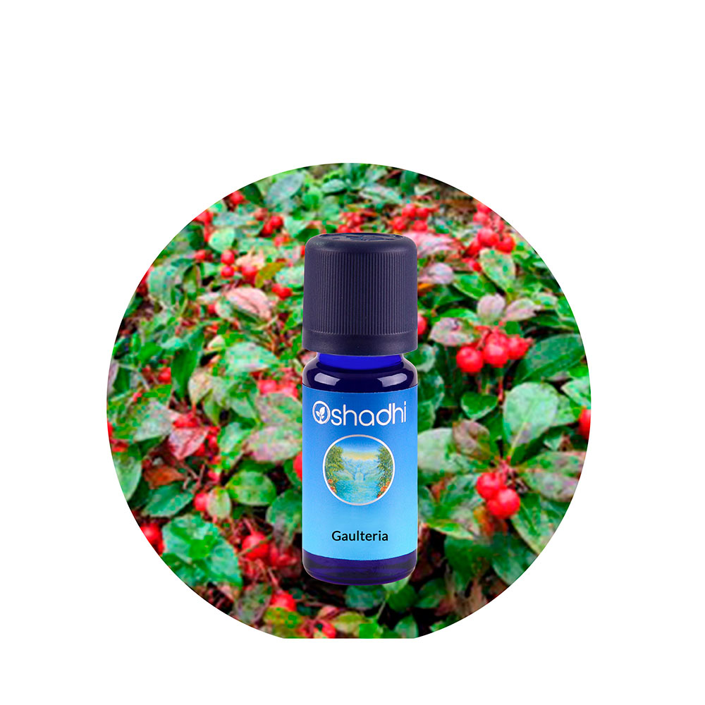 Aceite Esencial de Gaulteria