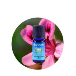 Aceite Esencial de Geranio Egipcio