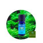 Aceite Esencial de Hinoki