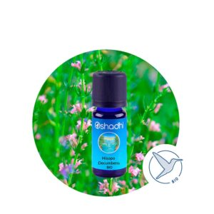Aceite Esencial de Hisopo Decumbens BIO