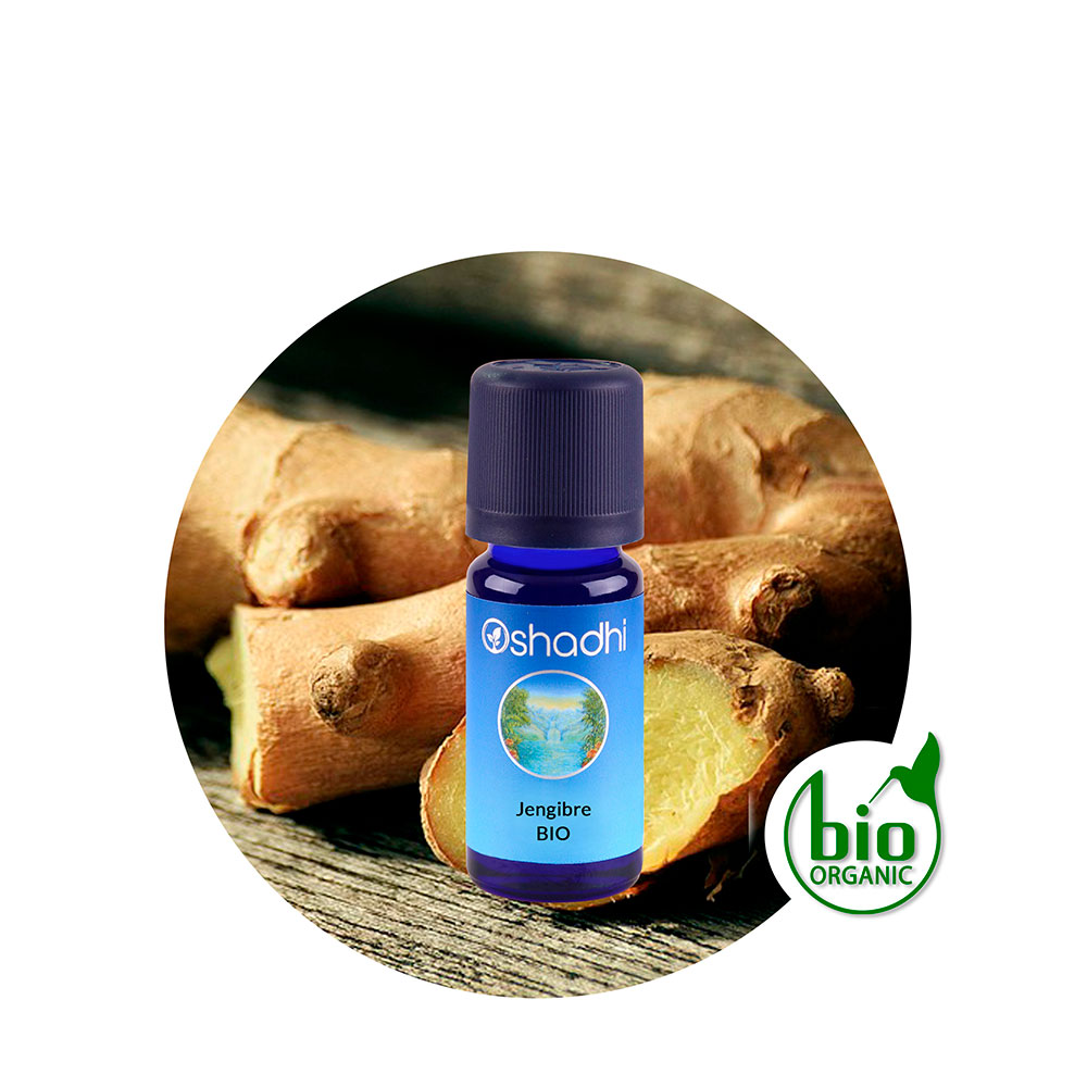 Aceite Esencial de Jengibre