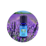 Aceite Esencial de Lavanda de Kashmir