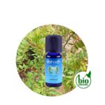 Aceite Esencial de Lentisco