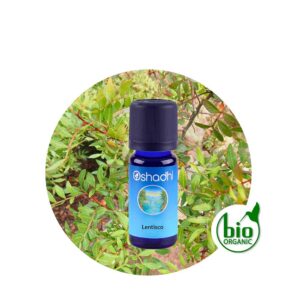 Aceite Esencial de Lentisco