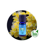 Aceite Esencial de Litsea