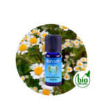 Aceite Esencial de Manzanilla Azul (Egipto)