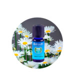 Aceite Esencial de Manzanilla Romana