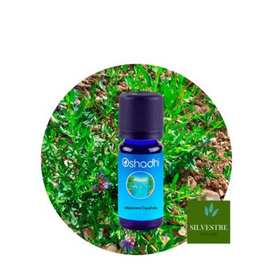 ae-mejorana-española